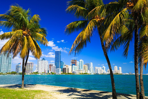 Downtown Miami Tour with Millionaire’s Row Cruise Tickets 3.5-hour: Miami Tour with Cruise Tickets