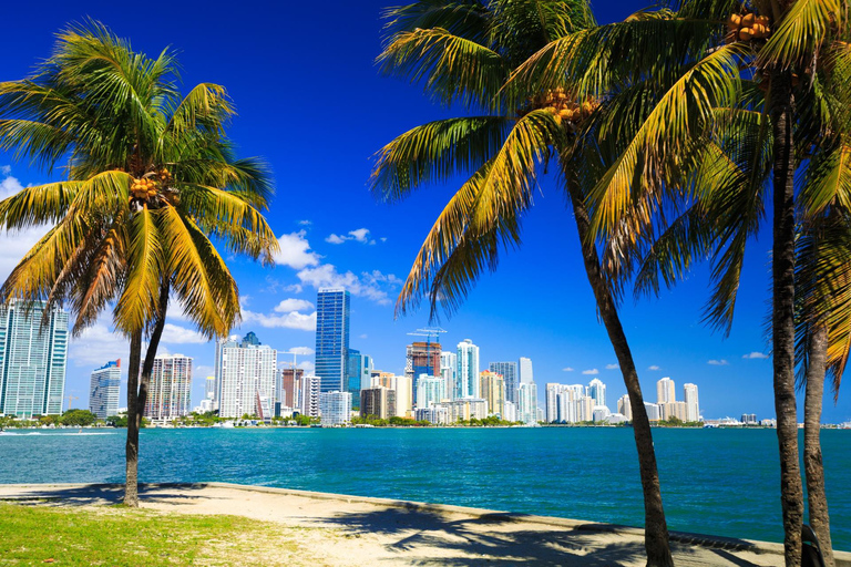 Downtown Miami Tour with Millionaire’s Row Cruise Tickets 3.5-hour: Miami Tour with Cruise Tickets