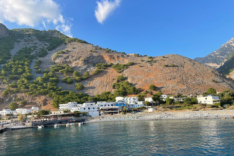 Från Chania: Samaria Gorge med professionell vandringsguide