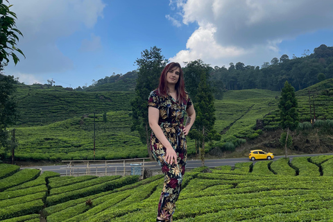 From Jakarta/Bandung: Sky-Bridge & Volcanic Crater Tour Start from Jakarta