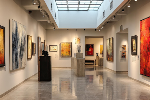 Pinacoteca de São Paulo & Resistance Memorial Private Tour 2-hour: Pinacoteca de São Paulo Tour