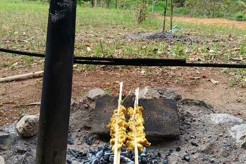 Khao Sok: Authentiek koken in de junglePrivé kookervaring