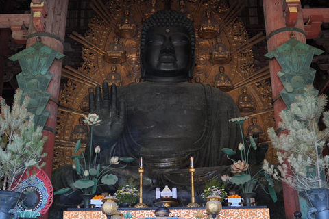 Tour por Kioto y Nara con Fushimi Inari y el parque de los ciervos