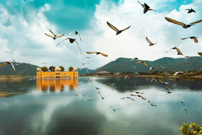 Delhi: 6Day Golden Triangle with Jodhpur & Udaipur(5* Hotel) From Delhi: Car & Guide for full Tour (No Tickets & Hotel)