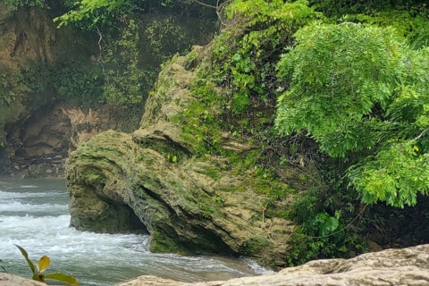 Z Palenque: wycieczka do wodospadów Palenque i Roberto BarriosPalenque z Roberto Barriosem i transfer do San Cristóbal