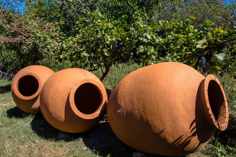 Kakheti Homeland of wine (Sighnaghi+Bodbe+Telavi)