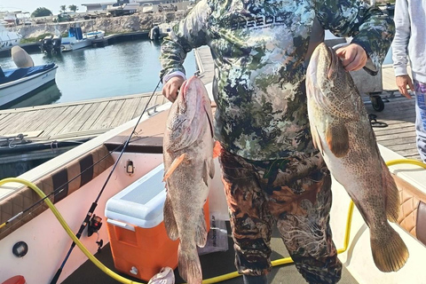 Abu Dhabi: Fishing Tour with Island BBQ Experience