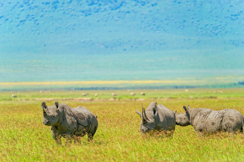 Ngorongoro Crater Safari & Maasai Village Experience