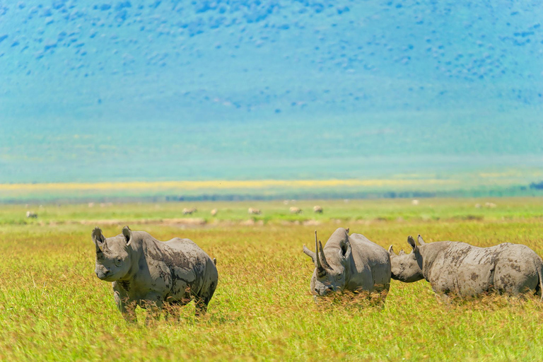 Ngorongoro Crater Safari & Maasai Village Experience