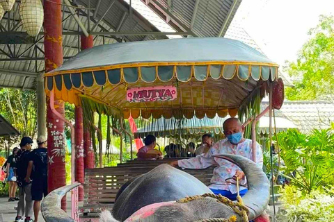 Manila: Villa Escudero: Tour de um dia com almoço e transferes PRIVADO