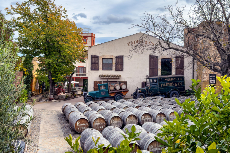 Casa Vermouth Padró: Vermouth tasting and guided visit in Bràfim (Tarragona) Vermouth tasting and guided visit in ENGLISH in Bràfim (Tarragona)