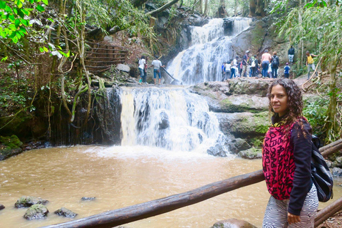 Nairobi: Tour guidato a piedi nella foresta di Karura