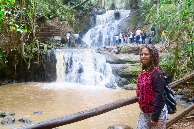 Nairobi : visite guidée de la forêt de Karura à pied