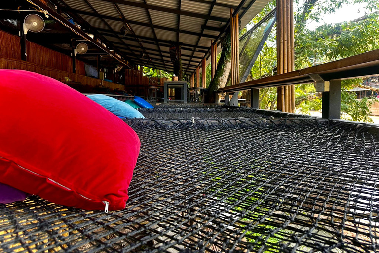 Chiang Mai Sticky Waterfall Tour, ATV and Scenic Café