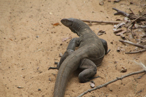 Habarana: Pure Village Life and Cultural Experience Day Tour we make real and untouched sri lankan experience