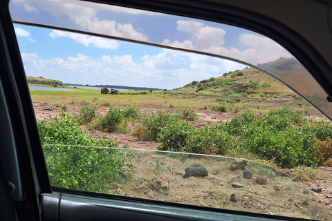 Nairobi: Amboseli National Park Tagestour mit PirschfahrtenSolo Nairobi: Amboseli National Park Tagestour