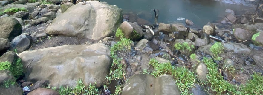 Mini randonnée des cascades