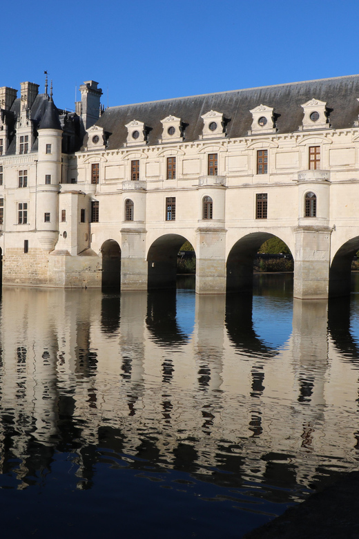 Galerie média