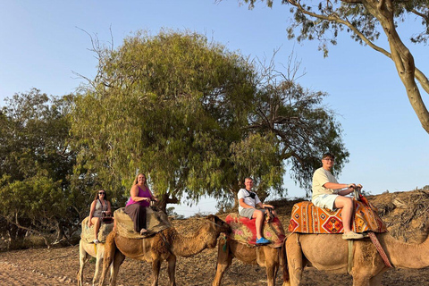 Agadir: Private Souss River Camel Ride with Pickup