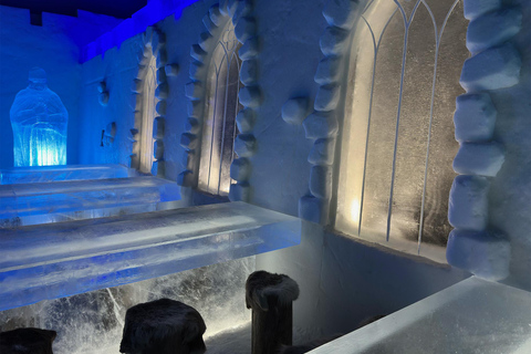 Day ticket to exhibitions in the Snow Castle area