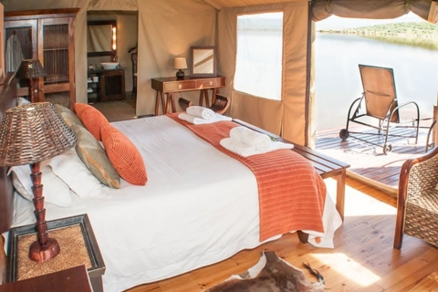 From Cape Town: South African Wildlife Safari 2-Day Tour Comfort Stay Package