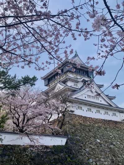 Kobe/Osaka: Himeji Castle Cherry Blossom Scenic Private Tour