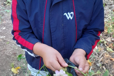 Chiapas: an inner journey in a sustainable food forest