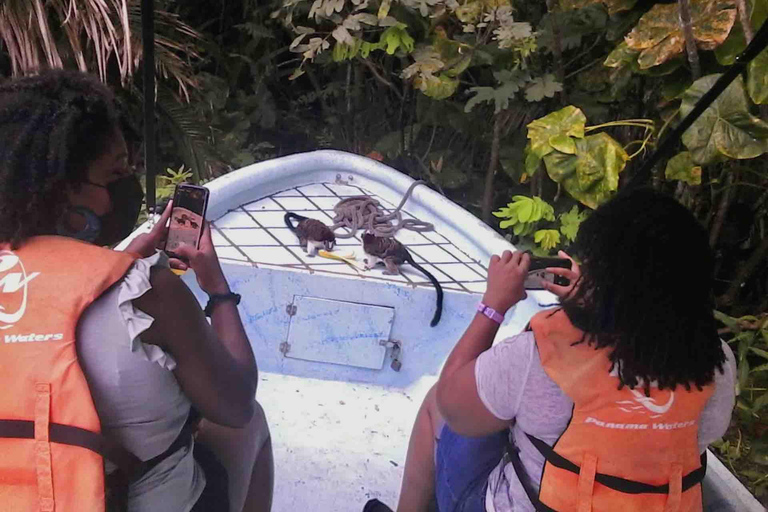 Panamá: Excursión a la Isla de los Monos, el Santuario de los Perezosos y el Lago Gatún