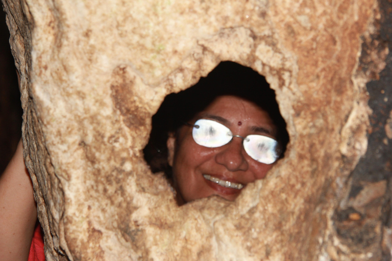 Half Day Hiking to Cat Ba National Park with a Guide