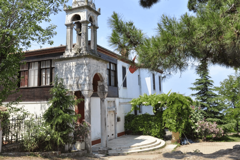 Istanbul: Tour dell&#039;Isola del Principe con pranzo e 2 isole