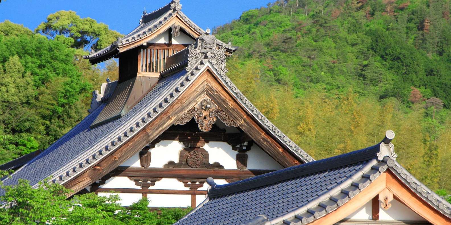 Kyoto experience — temples, geisha, bamboo grove — image 40
