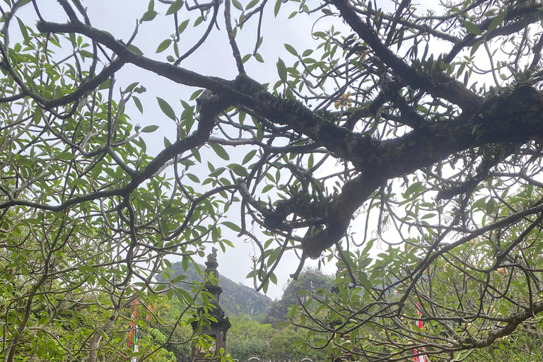 Ninh Binh: Day Tour Trang An - Mua Cave - Hoa Lu