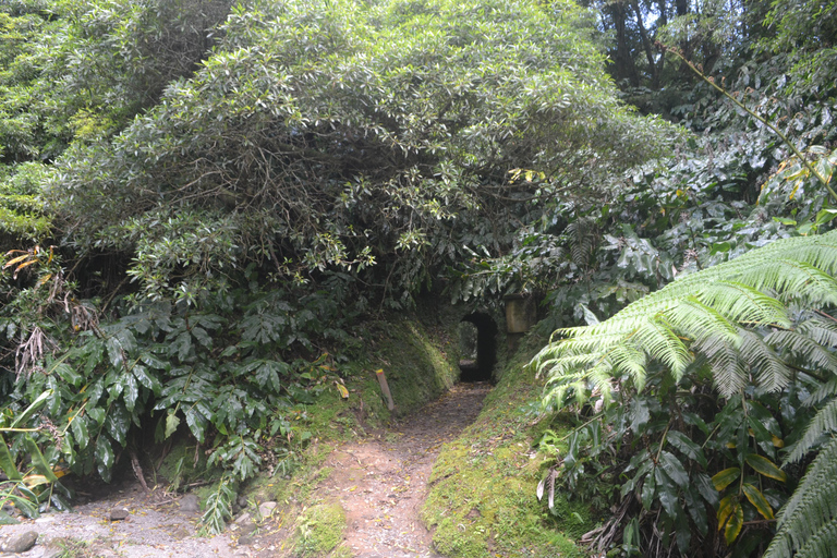 Sao Miguel Hike to Janela do Inferno and Lagoa do Fogo