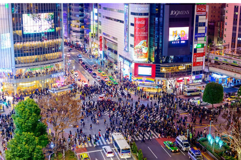 3/5/7 Days Private Japan Tour with English Speaking Guide 3 Days Private Tokyo or Kyoto Tour with English Guide