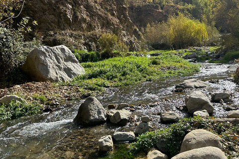 Excursão Vale de Ourika, vilarejos berberes, montanhas do AtlasDe Marrakech: viagem de um dia ao vale de Ourika e às montanhas do Atlas