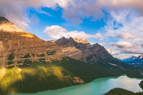 Calgary/Banff : Columbia Icefield, Skywalk, Crowfoot & lakes