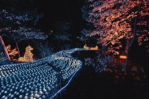 Budapest: biglietto d'ingresso per il Lumina Light Park Wonderworld