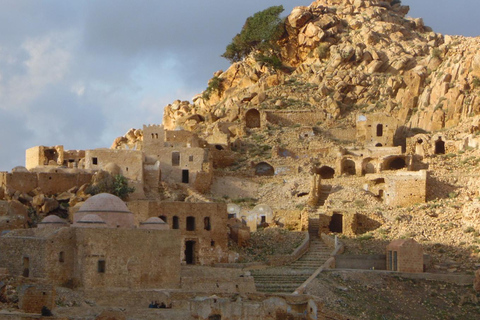 Vanuit Tunis of Hammamet: Hammamet, Zaghouane, Zriba el Alia