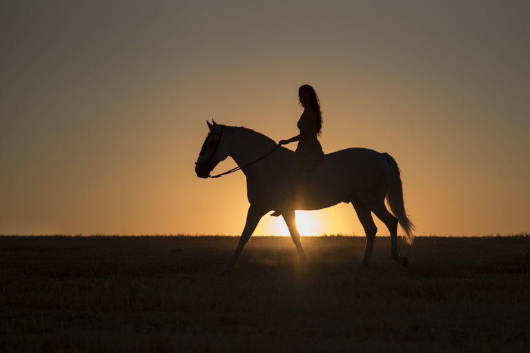 Doha: Private Beach Horse Riding Experience with Pickup Private Seaside Horse Riding
