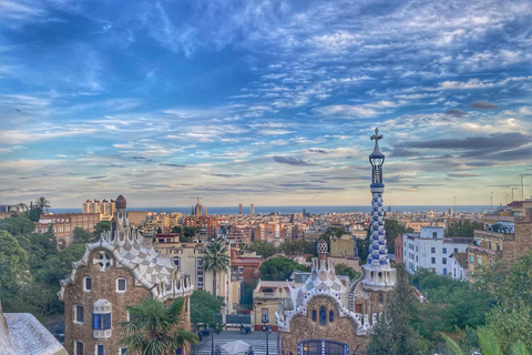Full/Half day Barcelona highlights with entrances & Tasting Full Day with Transport,Tasting&Entrances (Maximum 9 people)