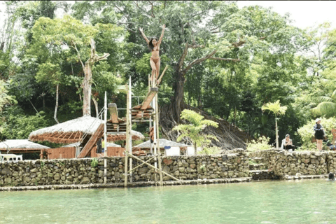 Boracay Whale Shark Watching, ATV, and Zipline with Transfer