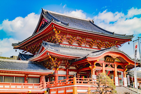 Nagoya: Osu Shopping District Tour with English Assistant