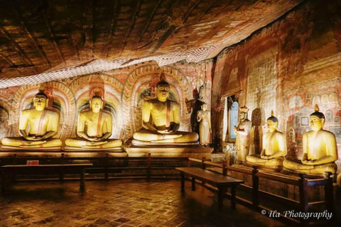 Sigiriya & Dambulla Private Tour with Local Food & Lake View Sigiriya & Dambulla Private Tour:Pickup From Negombo/Colombo