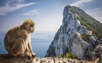 From Málaga/Torremolinos/Benalmádena, Day Trip to Gibraltar - Housity