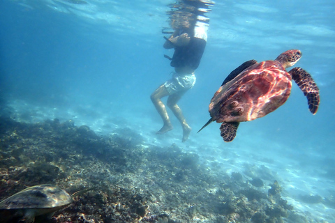 Dimaniyat Islands Snorkeling Tour afternoon private boat trip