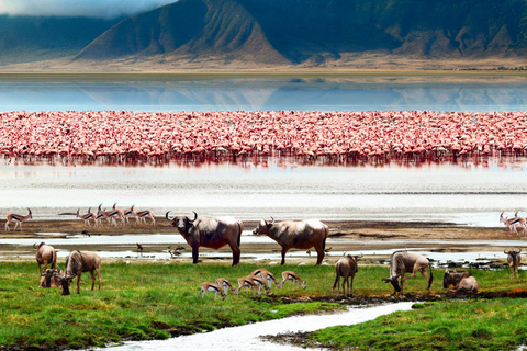 4: Dias de safari pelo património da natureza selvagem africana.