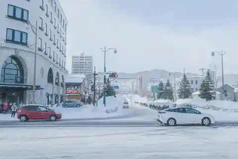 Otaru Tour: the Charm of Hokkaido's Historic Port City