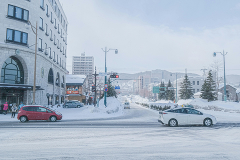 From Sapporo: Private Customized Day Tour to Otaru