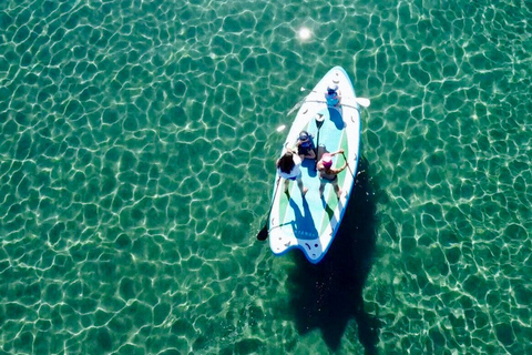 Lake Mead: Giant Paddle Board guided Tour includes 4 people