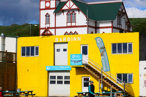 Húsavík: Whale Watching Tour with Heated Indoor Seating